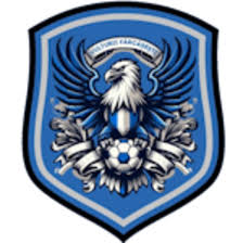 https://img.panasonic-hanji.com/img/football/team/09bb5b9732bc080d522c37e74ce70004.png