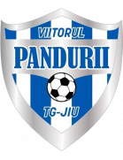 https://img.panasonic-hanji.com/img/football/team/5226ba1e717606e6794573d8b2919570.png