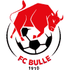 https://img.panasonic-hanji.com/img/football/team/b201265fa89720bf8cd8ef95549a4738.png