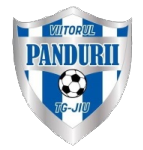 https://img.panasonic-hanji.com/img/football/team/f87660473999e5c2307a672f5e324852.png